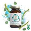 Pure Synergy Organic Blue-Green Algae Capsules – Chlorophyll & Antioxidant Brain and Energy Supplement - 90 Capsules - 2 of 4
