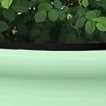 oval 8*2*2ft olive green