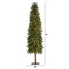 7ft Nearly Natural Pre-Lit Grand Alpine Slim Artificial Christmas Tree Clear Lights - 2 of 4