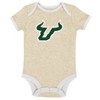 NCAA South Florida Bulls Infant Girls' 3pk Bodysuit - 3 of 4