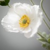 Sullivans Artificial Poppy Stem 6"L - 2 of 2