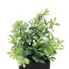 Unique Bargains Plant Fake Frosted Plastic Green 2.36"x2.36"x7.48" 1Pc - 4 of 4
