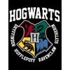 Harry Potter Hogwarts Houses Pride Black T-shirt Toddler Boy to Youth Boy - image 2 of 3