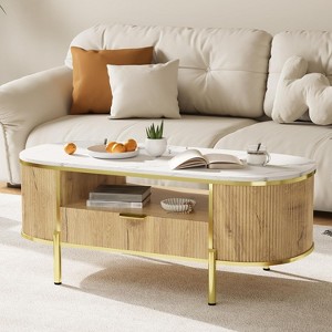 Modern Oval Coffee Table with Storage Organizer,48" Wood Fluted Center Table for Living Room - 1 of 4