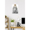 Trends International Sasha - Lion In Winter Unframed Wall Poster Prints - 2 of 4