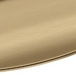 champagne bronze