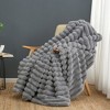 Cozy Bliss Faux Fur Plush Decorative Blanket,Cozy Warm Striped Throw - 2 of 4
