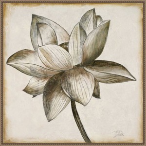 Amanti Art 30"x30" Sepia Lotus Blossom I by Patricia Pinto Framed Canvas Wall Art Print: Modern Decor, Polystyrene Frame - 1 of 4