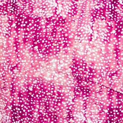 raspberry burst