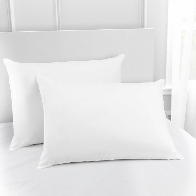 Standard 2pk Clear Fresh Antimicrobial Bed Pillow - Great Sleep