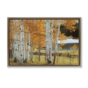 Stupell Industries Autumnal Birch Beauty Floating Frame Canvas Art - 1 of 4