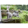 Weathered Stone Garden Rabbit Figurine (Set of 2) - 3 of 3
