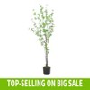 Chery Life 59" Artificial Disc Leaf Tree - 4 of 4