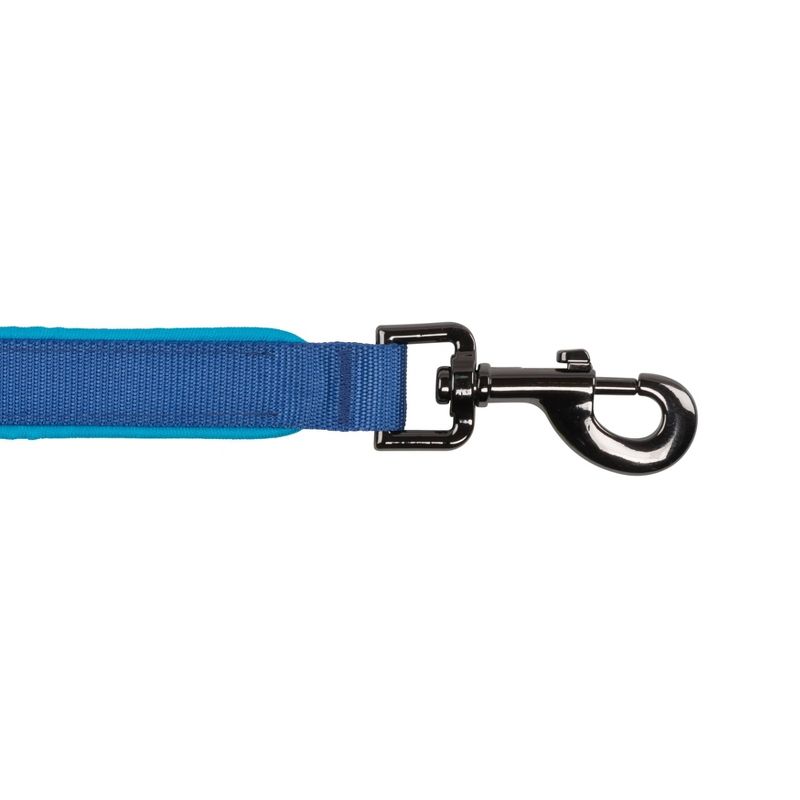Nite Ize Nite Dog Rechargeable LED Dog Leash - Blue/Blue, 6 of 15