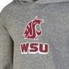 NCAA Washington State Cougars Boys' Gray Hoodie - 3 of 3