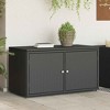 vidaXL Patio Storage Cabinet Tool Organizer Outdoor Furniture Poly Rattan - 2 of 4