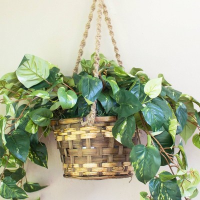 Lifelike Pothos Hanging Basket with Silk Leaves