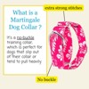 Country Brook Petz HossFit Jr Wide Martingale Dog Collar - Summer Breeze Collection - 4 of 4