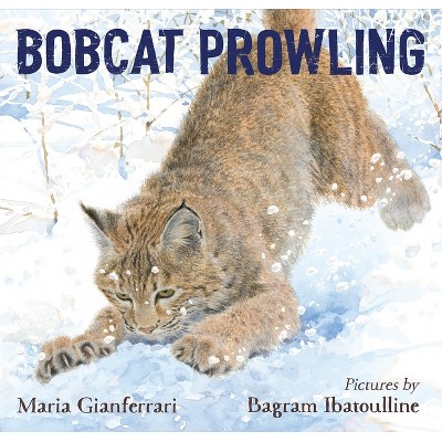 Bobcat Prowling - by  Maria Gianferrari (Hardcover)