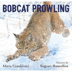 Bobcat Prowling - by  Maria Gianferrari (Hardcover) - 1 of 1