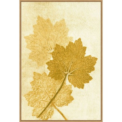 Amanti Art Amber Leaves by Pernille Folcarelli Canvas Wall Art Print Framed 23-in. x 33-in.