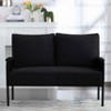 MAYEERTY 46 Inch Modern Loveseat Powder-Coated Metal Frame, Detachable Cushions, Anti-Scratch Legs - 2 of 4