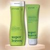 Attitude Natural Care Super Leaves Nourishing Shampoo (16 oz) & Conditioner (8 oz) | Vegan | Grape Seed Oil & Olive - DUO SET PACK - 2 of 2