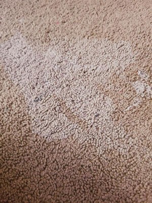 Guest review image 3 of 3, zoom in