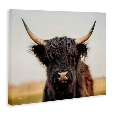 Black Highland Cow Portrait Canvas Wall Art, 30" x 24"