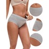Allegra K Women's High Waist Available in Plus Size Tummy Control Briefs - 3 of 4