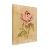 Cheri Blum 'Peony I' Canvas Art - 2 of 4