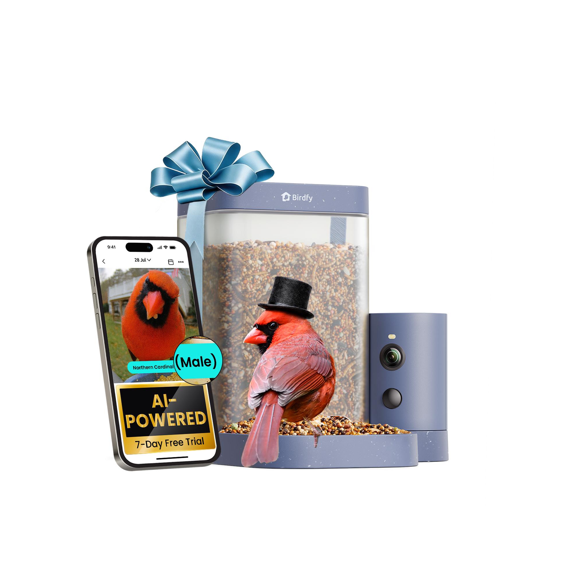 Birdfy Smart Bird Feeder Rookie - 1080P HD, 60FPS High-Frame Video for Slow-Motion Clips, 7-Day Free AI Trial, Night Vision, Free Cloud Storage