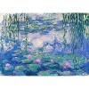 Outset Media Monet: Nympheas 1,000 Piece Puzzle, 27" x 19" Assembled Size, Ages 12 and Up - 4 of 4