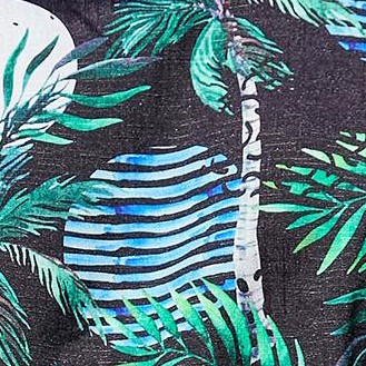 black coconut tree