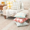 C&F Home 18" x 18" Franklin Coral Woven Throw Pillow - 3 of 4