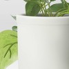 Artificial Trailing Scindapsus Plant Arrangement in Ceramic Pot - Threshold™ - image 4 of 4