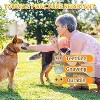 ZippyPaws3Pack Squeaky Dog Balls,2 in1 Funny Puppy Ball Toys,Birthday Dog Toy for Small Medium Dogs (Farm Ball) - 4 of 4