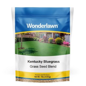 Barenbrug Wonderlawn Kentucky Bluegrass Full Sun Grass Seed 1 lb - 1 of 1
