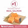 Purina ONE Plus Salmon Flavor Skin and Coat Dry Dog Food - 31.1lbs - 4 of 4