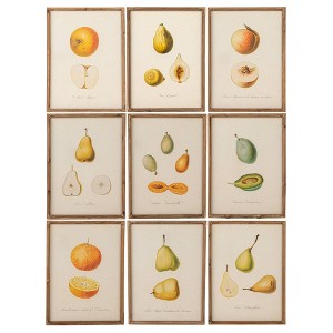 Storied Home (Set of 9) Reclaimed Wood Framed Fruit Print Wall Art Set: MDF, Modern Decor, Vertical Canvas, Sawtooth Back - 1 of 4