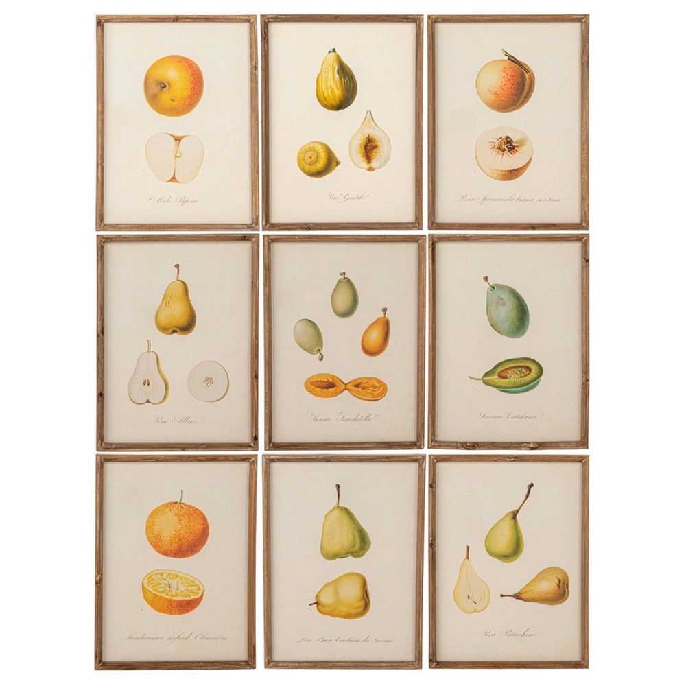 Photos - Other Decoration Storied Home  Reclaimed Wood Framed Fruit Print Wall Art Set: MD(Set of 9)