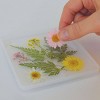 Art 101 Crafts Flower Coaster Resin Kit - Dm Creations : Target