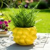Cheerful Planter Pot Perfect for Indoor or Outdoor Herbs, Ferns, or Succulents - Modern Pot for Indoor - Great for Garden and Patio Decor - 2 of 4