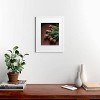 Deny Designs Hello Twiggs Terracotta Tulips White Framed Art Print - 2 of 4