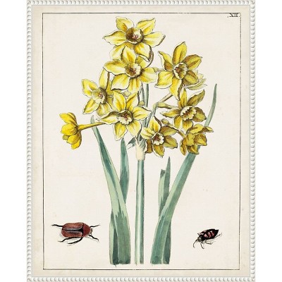 Dutch Florals III Yellow Daffodils Canvas Print with White Frame