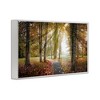 Stupell Industries Follow The Light Forest Path Framed Giclee Art - 2 of 4