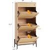 Rattan Storage Cabinet with 3 Flip Drawers,Freestanding Entry Way Shoe Storage Cabinet, Narrow Entrance Shoe Cabinets, Wood Shoe Storage - 2 of 4