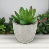 Unique Bargains Artificial Plants Large Mini Pulp with Cactus Finger Plastic 2.36"x2.36"x3.35" 1 Pc - 2 of 4