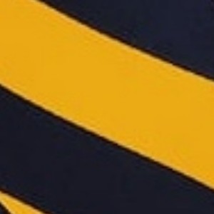 navy blue and gold