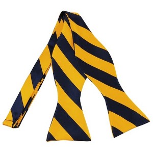 Men's 2.75" x 4.75" Adjustable 16" - 22" Self-Tie College Stripe Bow Tie - 1 of 3